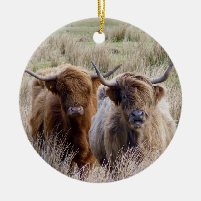 Scottish Highland Cows Ceramic Ornament (Front)