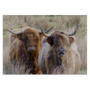 Scottish Highland Cows Cutting Board