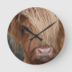 Scottish Highland Cows - Scotland Round Clock