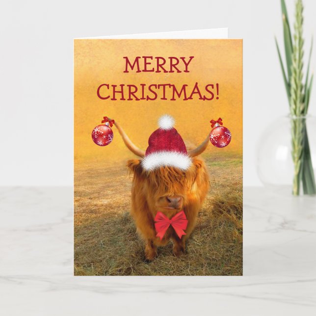 Scottish Highland Steer Christmas Fun Holiday Card (Front)