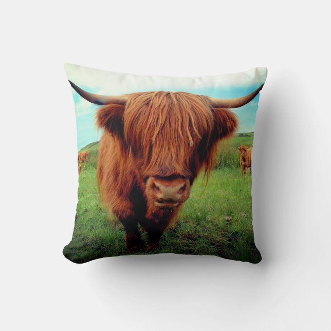 Scottish Highlander Cow Throw Pillow (Front)