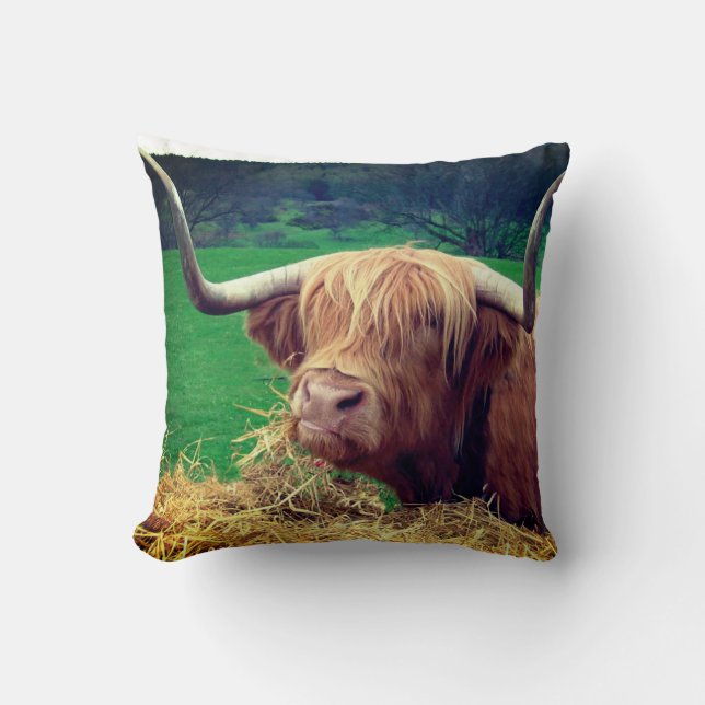 Scottish Highlander Cow Throw Pillow (Front)