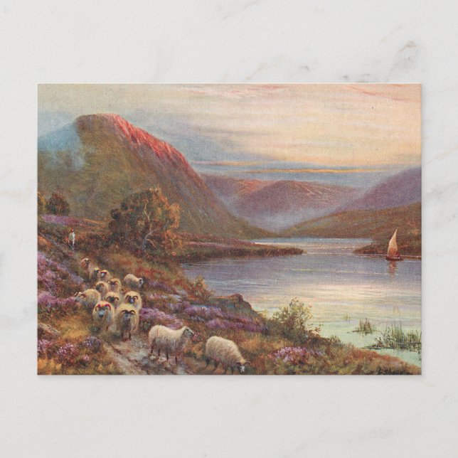 Scottish Highlands Lake Postcard (Front)