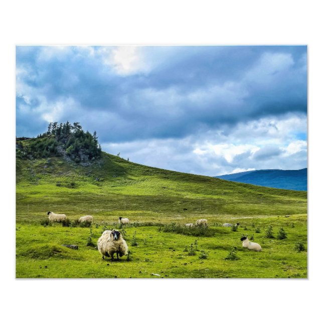 Scottish Highlands Photo Print (Front)