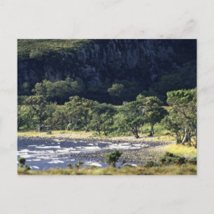 Scottish Loch Postcard