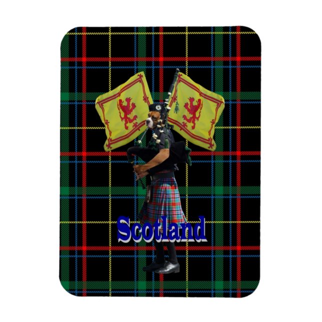 Scottish piper on tartan magnet (Vertical)