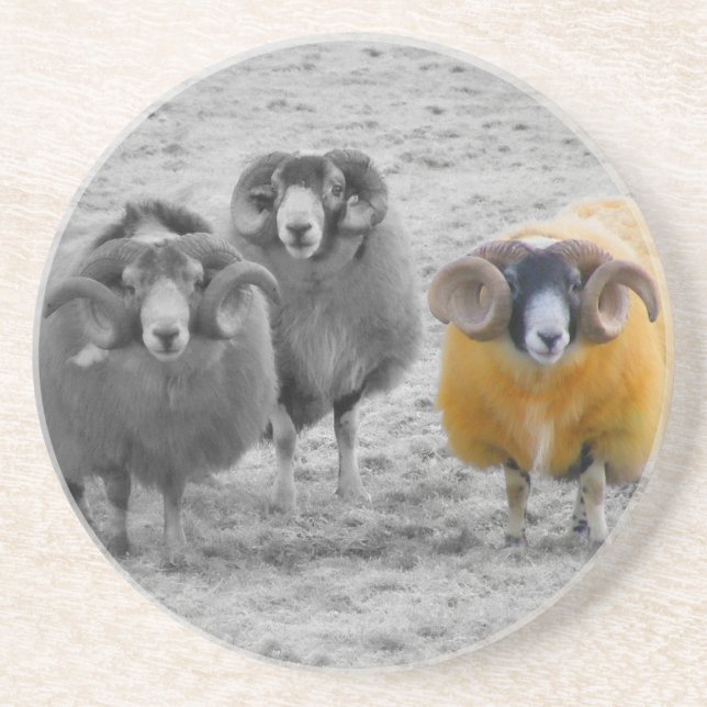 Scottish Rams Coaster (Front)