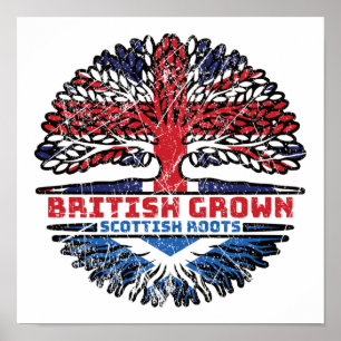 Scottish Scotland Uk United Kingdom British Tree Poster