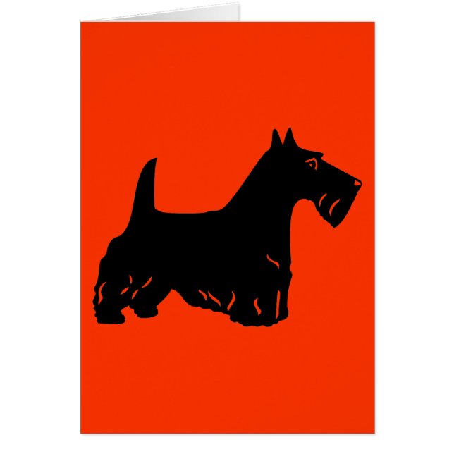 Scottish Terrier (Devant)