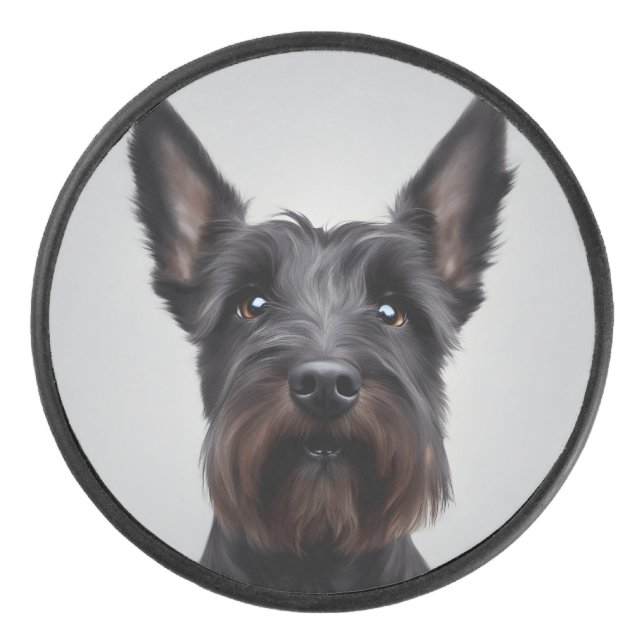 Scottish Terrier (Devant)