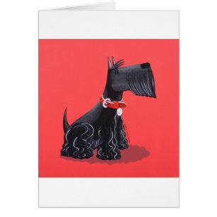 Scottish Terrier