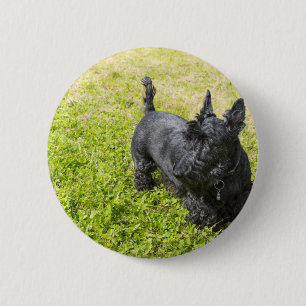 Scottish Terrier 2 Inch Round Button