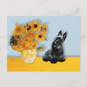 Scottish Terrier 3 - Sunflowers Postcard