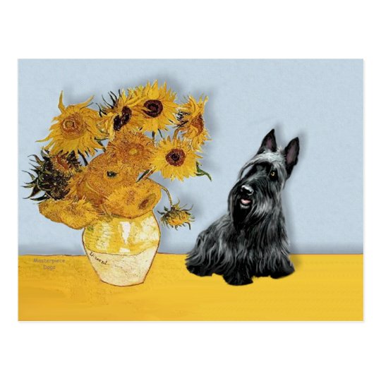 Scottish Terrier 3 - Sunflowers Postcard
