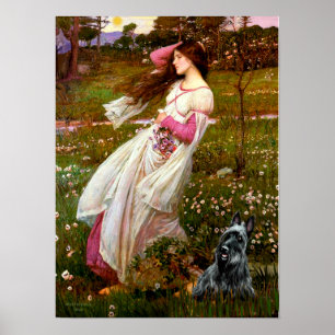 Scottish Terrier 3 - Windflowers Poster