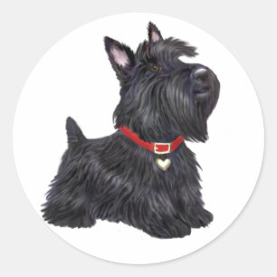Scottish Terrier (A) - (by JBF) Classic Round Sticker