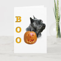 Scottish Terrier (black) Boo