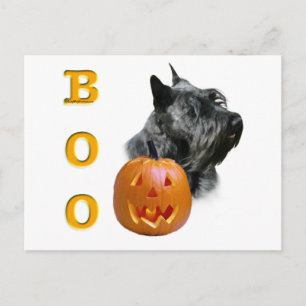 Scottish Terrier (black) Boo Postcard