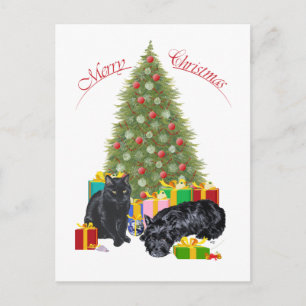 Scottish Terrier & Black Cat Christmas Holiday Postcard