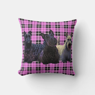 Scottish Terrier black/wheaten, baby pink plaid Throw Pillow