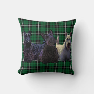 Scottish Terrier black/wheaten, kelly green plaid Throw Pillow