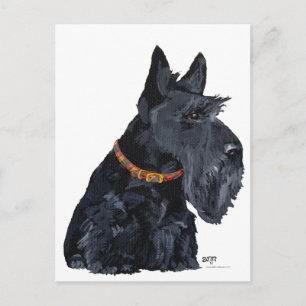 Scottish Terrier Card