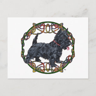 Scottish Terrier Celtic Knotwork Postcard