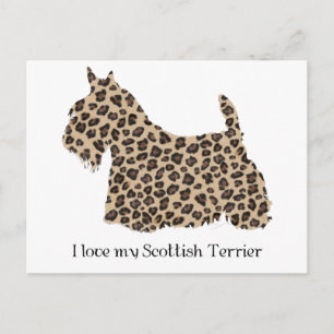 Scottish Terrier Cheetah Print Postcard