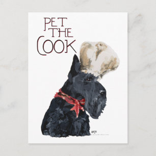 Scottish Terrier Chef Postcard