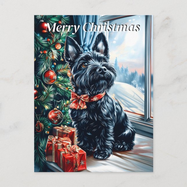 Scottish Terrier Christmas Holiday Postcard (Front)
