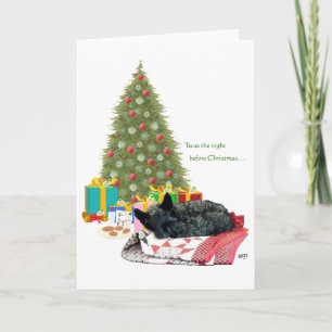Scottish Terrier Christmas Nap Holiday Card