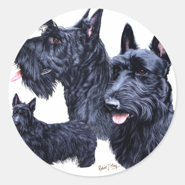 Scottish Terrier Classic Round Sticker (Front)