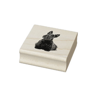Scottish terrier cute happy front-sitting view rubber stamp