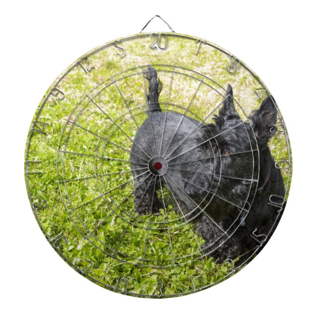 Scottish Terrier Dartboard (Front)