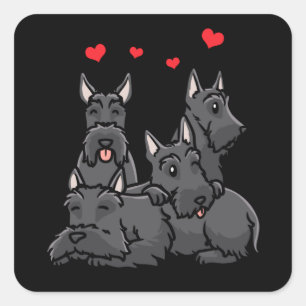 Scottish Terrier Dog Aberdeen Terrier Square Sticker