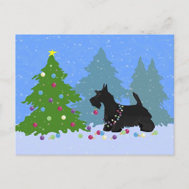 Scottish Terrier Dog Decorating Christmas Tree Holiday Postcard (Front)