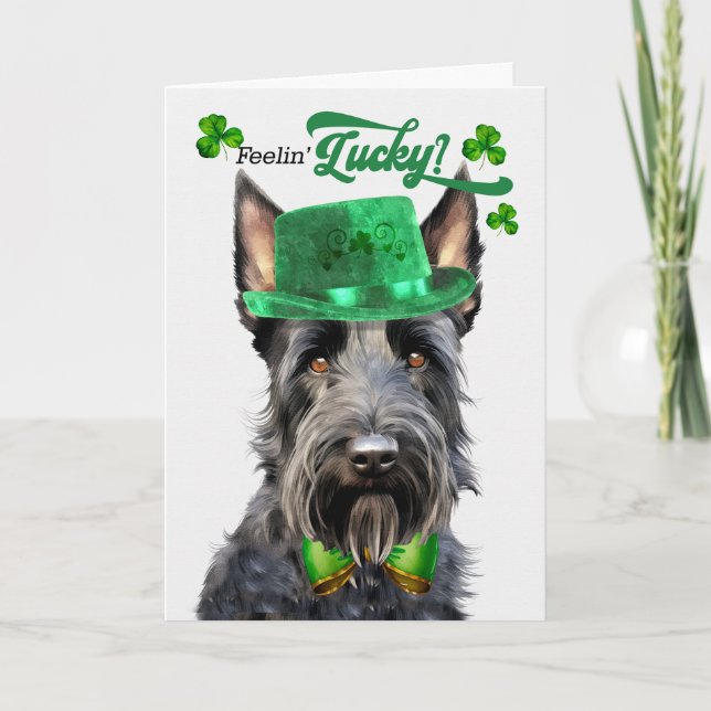 Scottish Terrier Dog Lucky St Patrick's Day Holiday Card (Front)