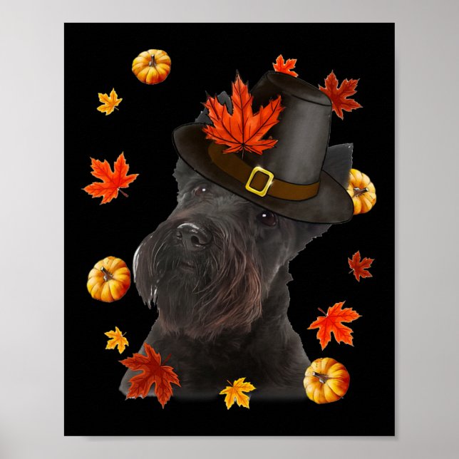 Scottish Terrier Dog Pilgrim Hat Fall Happy Thanks Poster (Front)