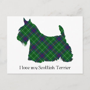 Scottish Terrier Duncan Tartan Postcard