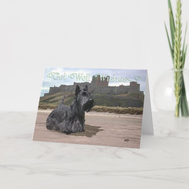 Scottish Terrier Get Well Wishes Card (Front)