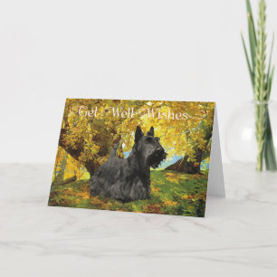 Scottish Terrier Get Well Wishes Card