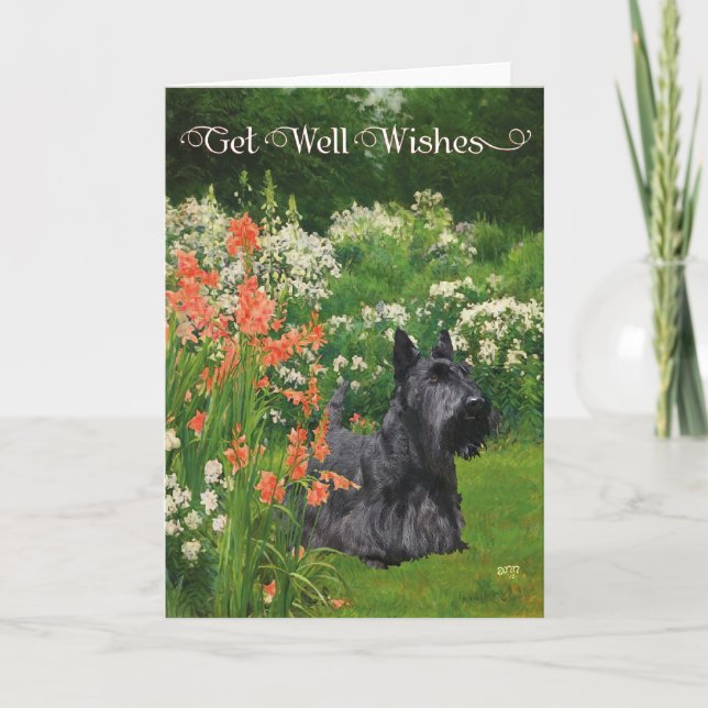 Scottish Terrier Get Well Wishes Card (Front)