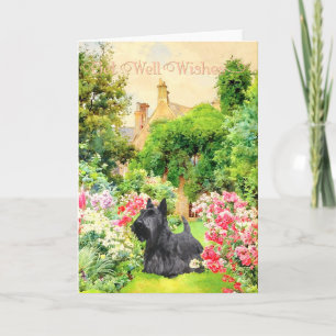 Scottish Terrier Get Well Wishes Card