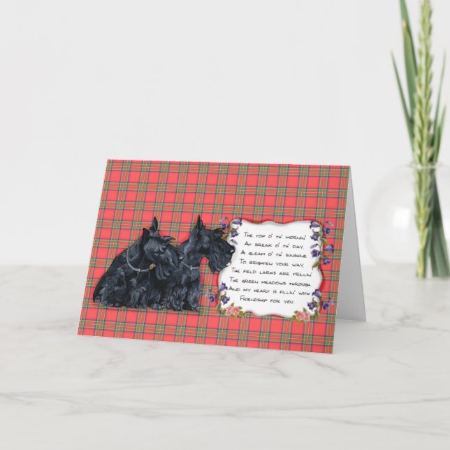 Scottish Terrier Greeting Card (Front)