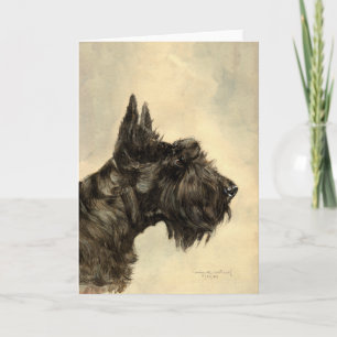 Scottish Terrier Greeting Card