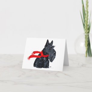 Scottish Terrier Greeting Card