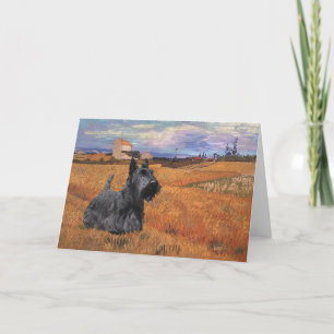 Scottish Terrier Greeting Card