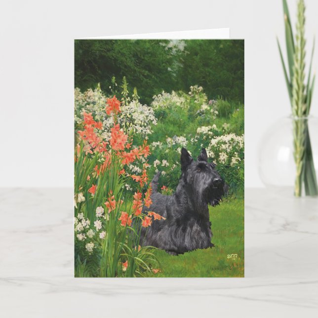 Scottish Terrier Greeting Card (Front)