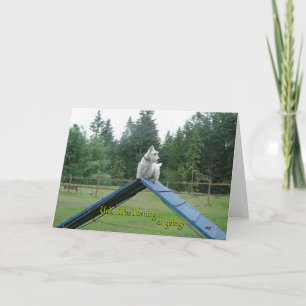 Scottish Terrier Greeting Card