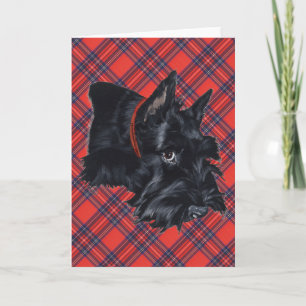 Scottish Terrier Greeting Card